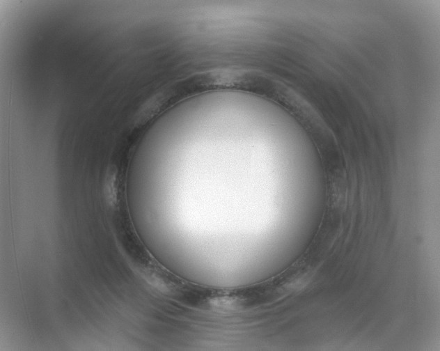 X0000074940216200609152013