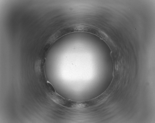 X0000074940217200609152013