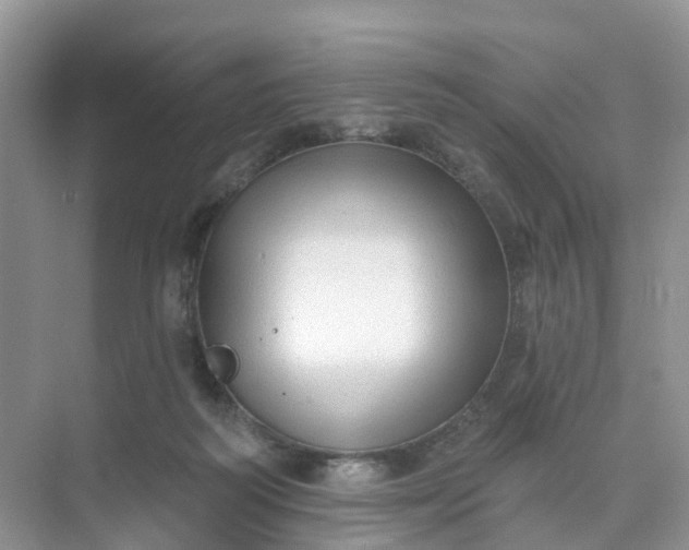 X0000074940218200609152013