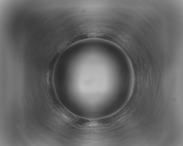 X0000074940219200609152013