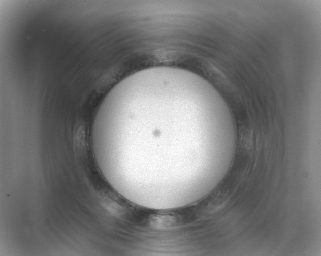 X0000074940220200609152013