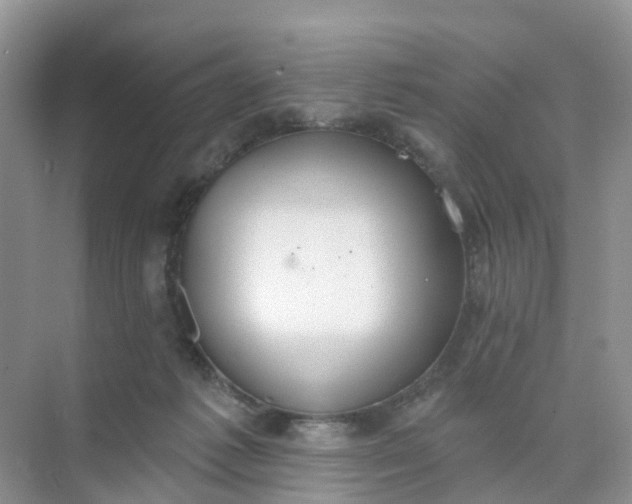 X0000074940221200609152013