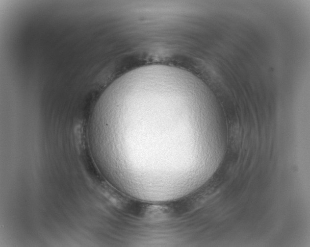 X0000074940222200609152013