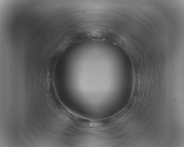 X0000074940223200609152013