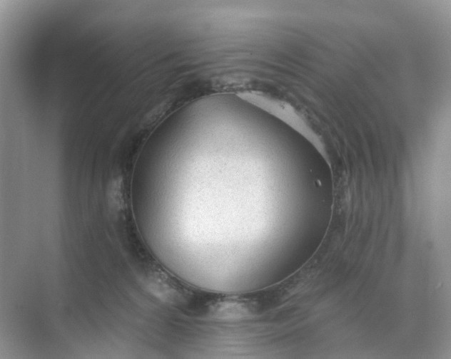 X0000074940224200609152013