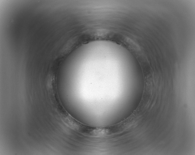 X0000074940225200609152013