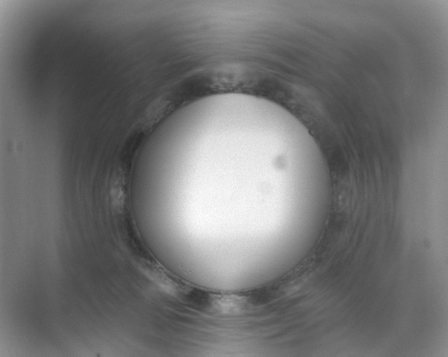 X0000074940226200609152013