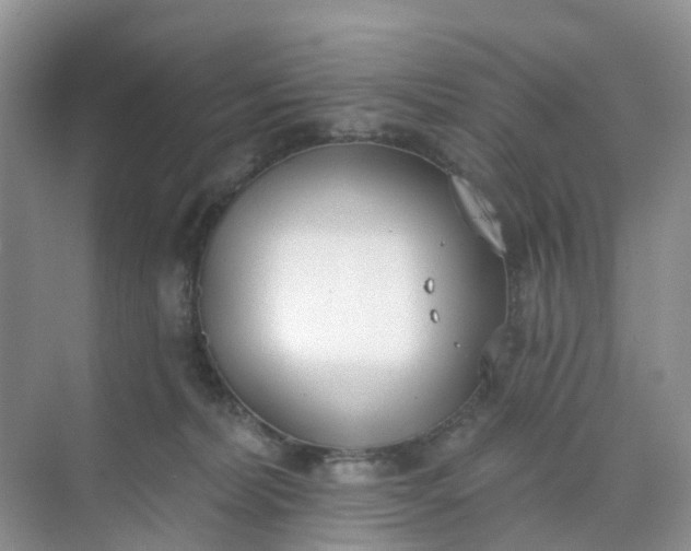 X0000074940228200609152013