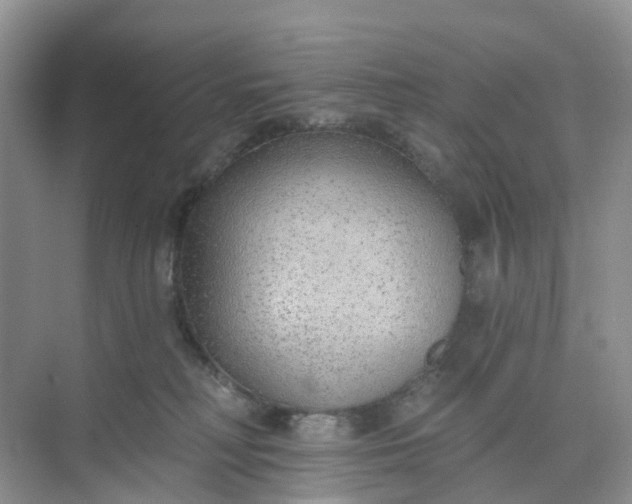 X0000074940230200609152013