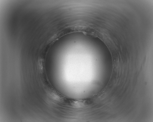 X0000074940232200609152013