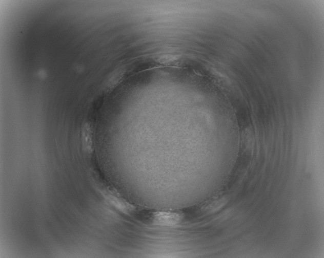 X0000074940234200609152013