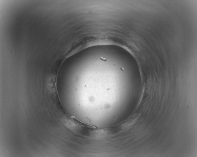 X0000074940237200609152013