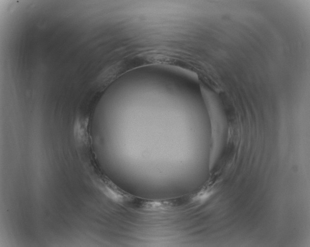 X0000074940239200609152013