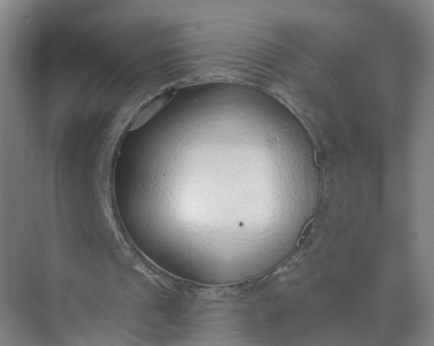 X0000074940241200609152012