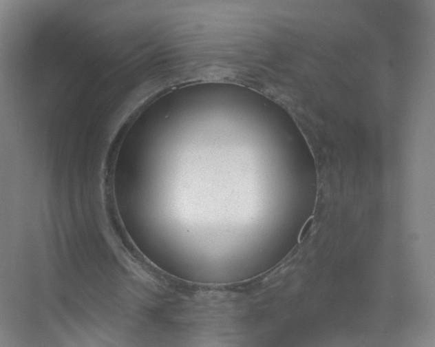 X0000074940242200609152012