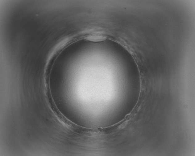 X0000074940245200609152012