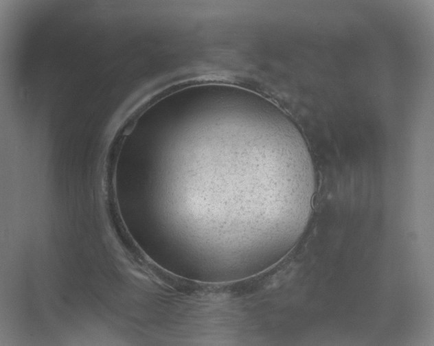 X0000074940247200609152012