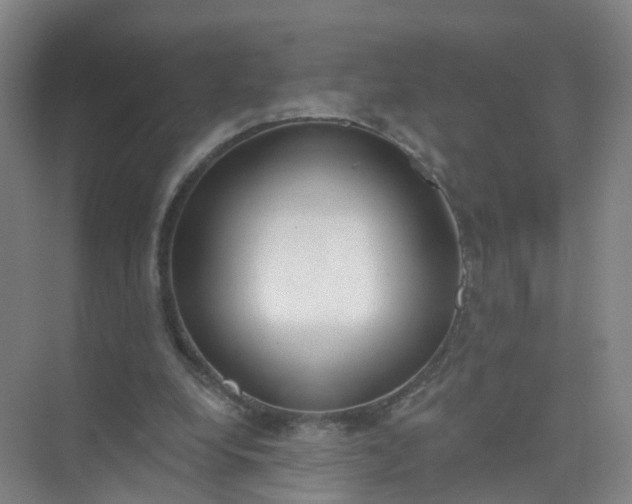 X0000074940248200609152012