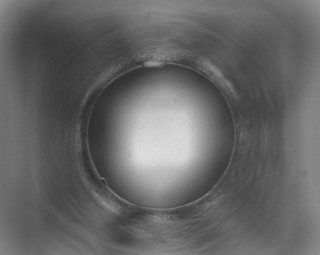 X0000074940250200609152012