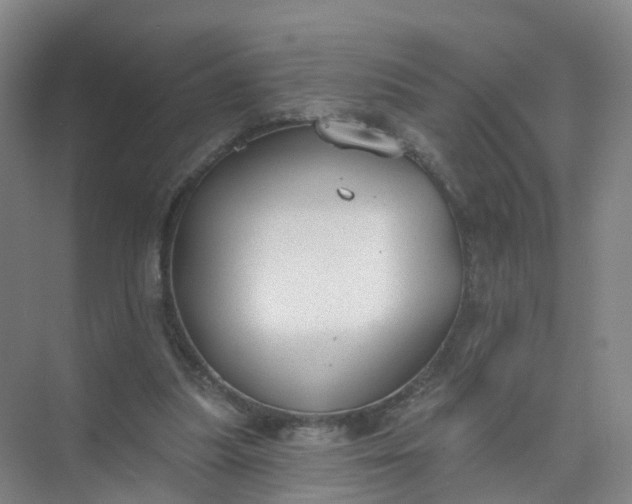 X0000074940251200609152012