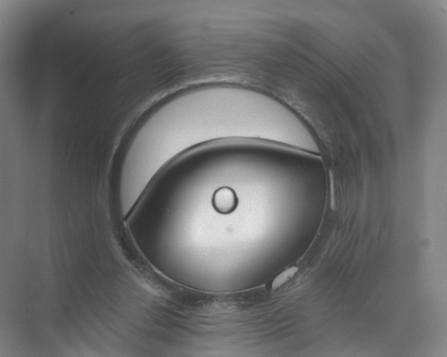 X0000074940252200609152012