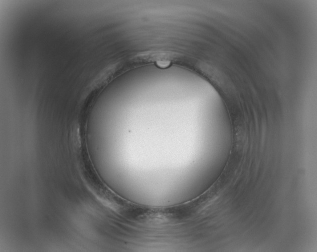 X0000074940254200609152012