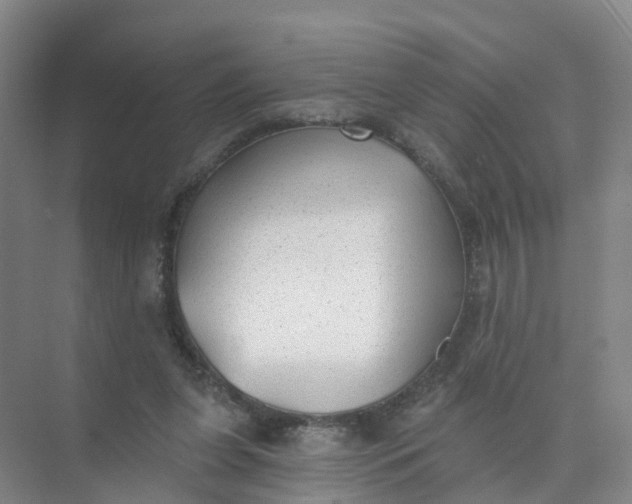 X0000074940255200609152012