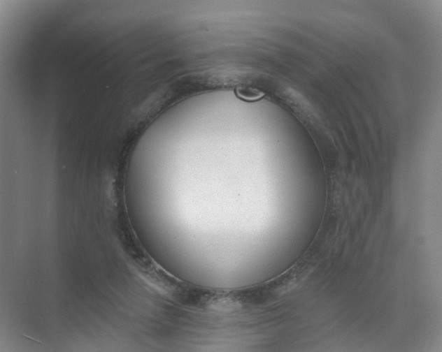 X0000074940258200609152012