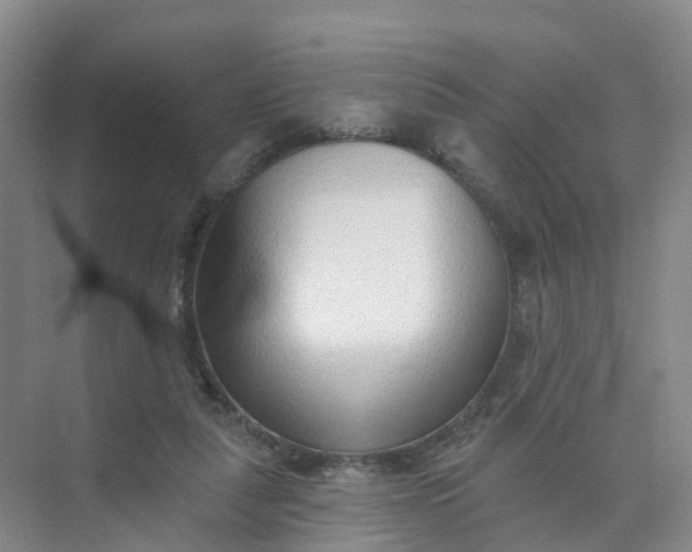 X0000074940259200609152012