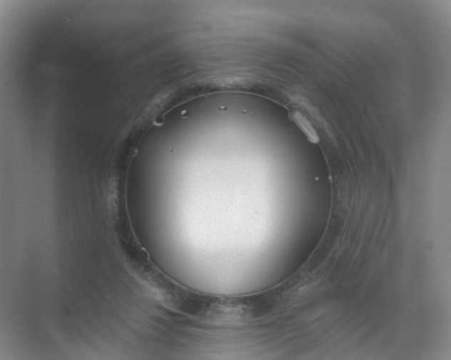 X0000074940260200609152012