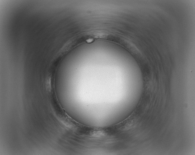 X0000074940262200609152012