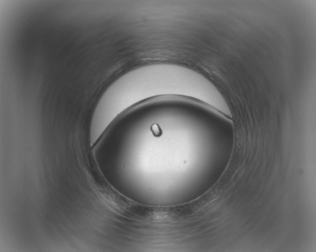 X0000074940264200609152012