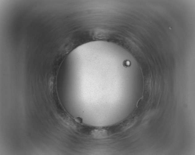 X0000074940271200609152012