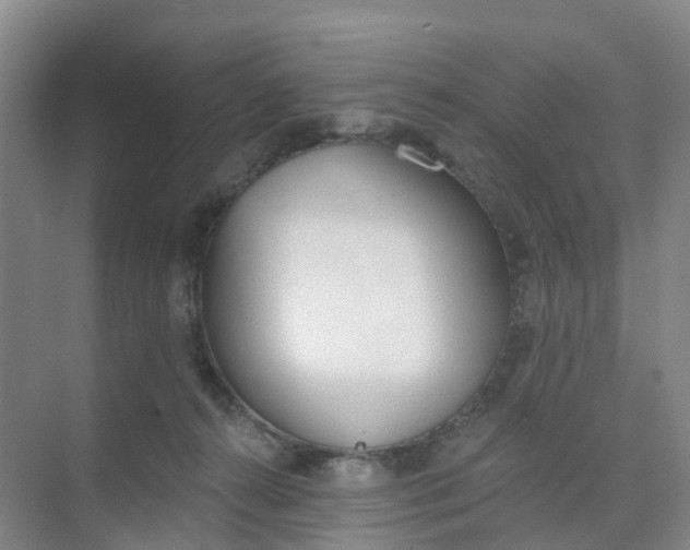 X0000074940272200609152012