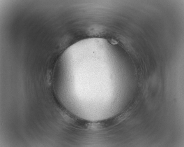 X0000074940273200609152012