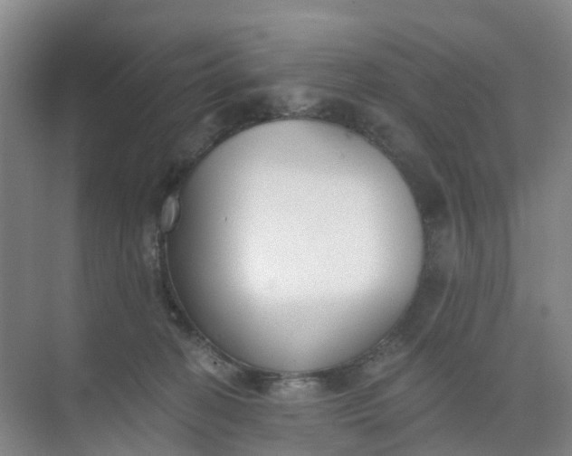 X0000074940274200609152012