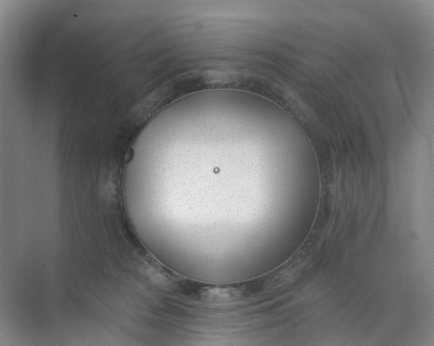 X0000074940277200609152012