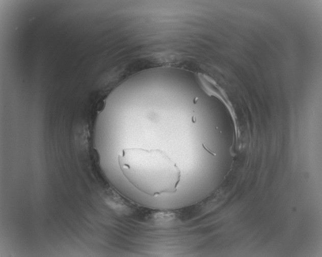 X0000074940279200609152012