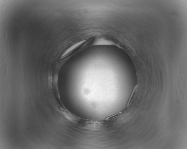 X0000074940288200609152013