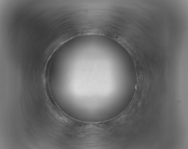 X0000074940290200609152012