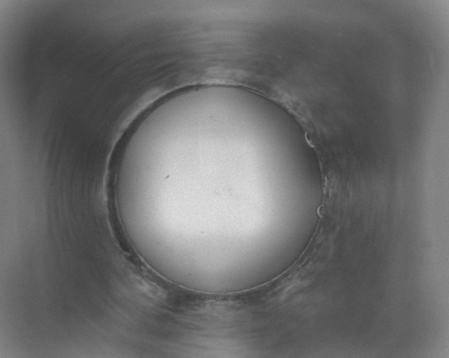 X0000074940292200609152012