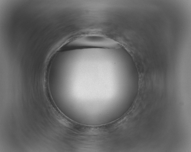 X0000074940293200609152012