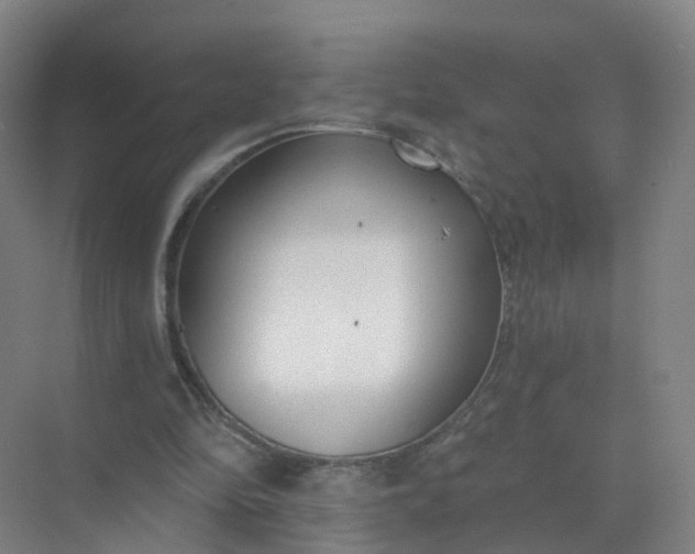 X0000074940294200609152012