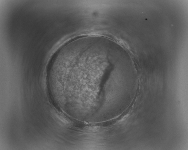 X0000074940295200609152012