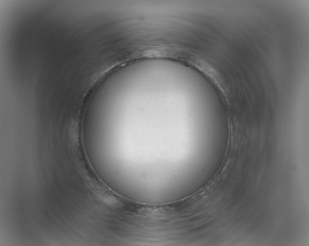 X0000074940297200609152012