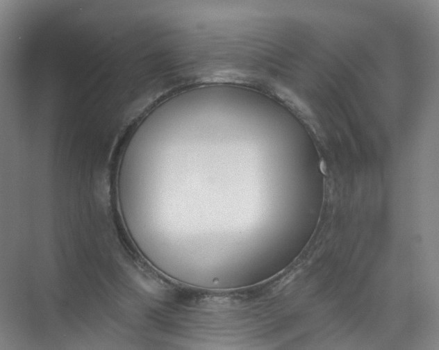 X0000074940298200609152012