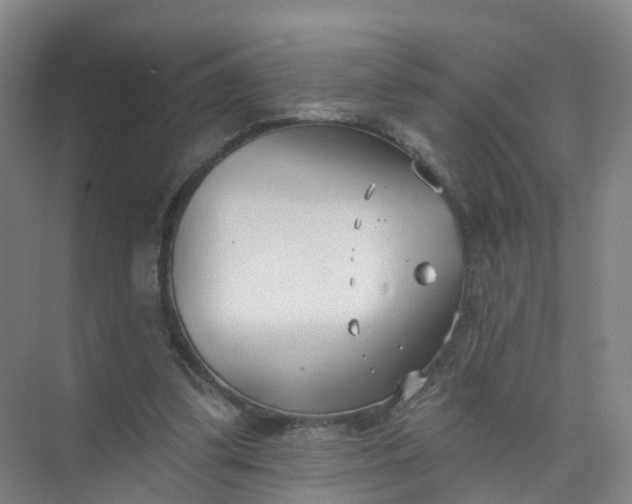 X0000074940299200609152012