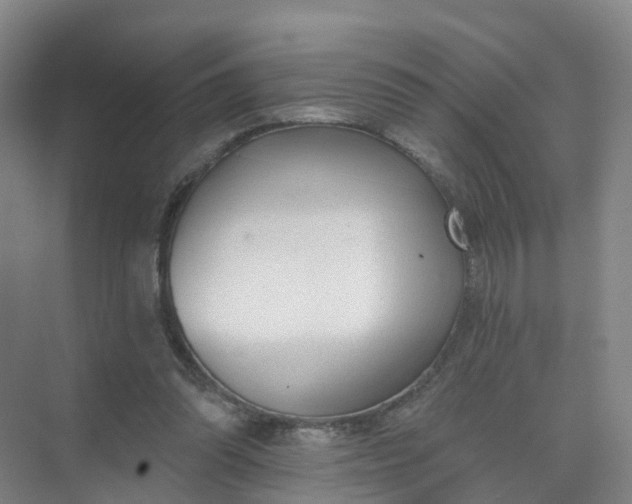 X0000074940302200609152012