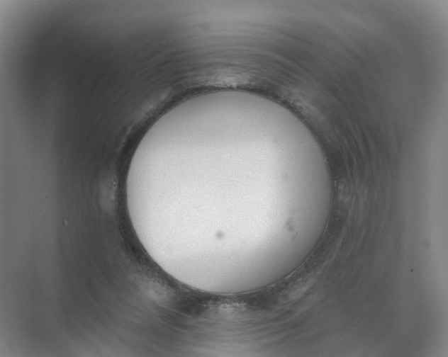 X0000074940304200609152011