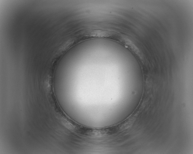 X0000074940305200609152011